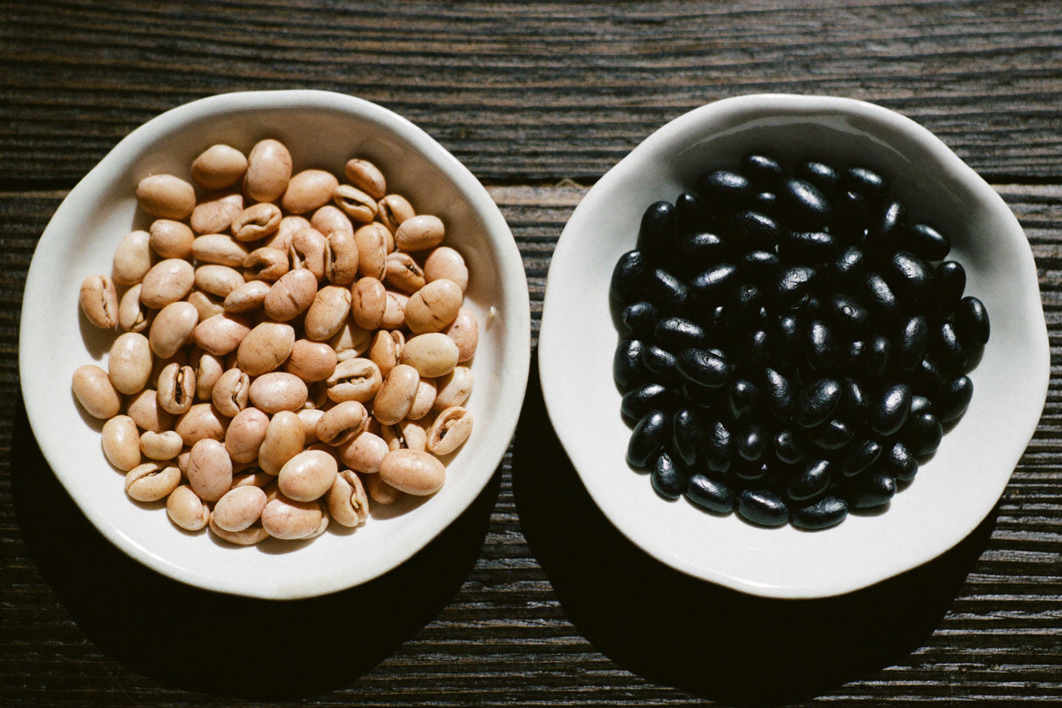 Two saucers of beans side by side, one pale roast and one very dark