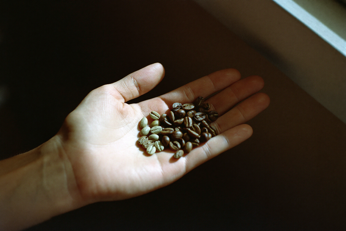 An open palm holding green and roasted beans together