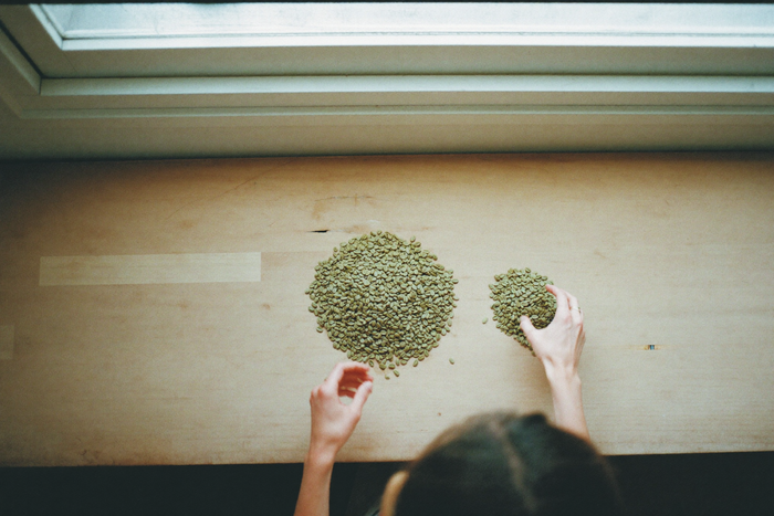 Hands sorting green coffee beans into two uneven piles