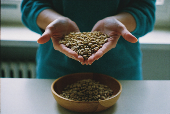 Cupped hands full of pale green unroasted coffee beans held above a shallow wooden bowl of the same.